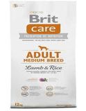 Adult Medium Breed Lamb & Rice 3 kg