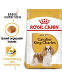 Cavalier King Charles Adult 7,5 kg