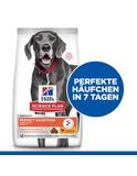 Science Plan Perfect Digestion Adult Large Breed mit Huhn und Reis 2 x 14 kg