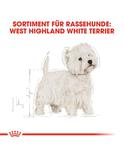 West Highland White Terrier Adult 3 kg