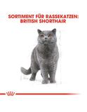 British Shorthair Adult 400 g