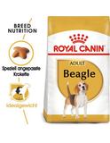 Beagle Adult 12 kg