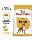 Boxer Adult 3 kg