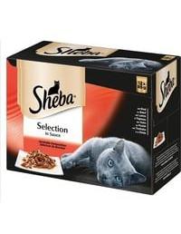 Katzenfutter Selection in Sauce Für Ausgewachsene Katzen - Hochwertiges Nassfutter Für Katzen/Rinderhäppchen in Sauce/36 12 x 85 g