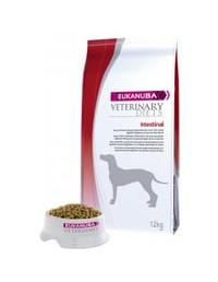 Veterinary Intestinal 2 x 12 kg