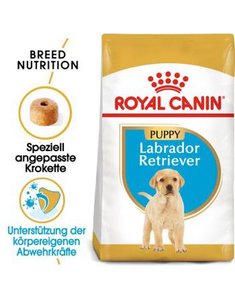 Royal Canin Labrador Retriever Puppy