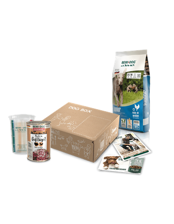 Bewi Dog Dog Box Junior