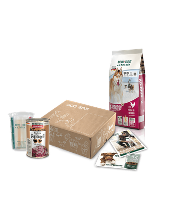 Bewi Dog Dog Box h-Energy