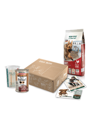 Bewi Dog Dog Box Sport