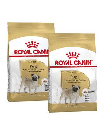 Royal Canin Mops Adult